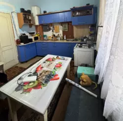 ��������� �������� ������������ / ���������� ?, ����, �������, ������������ ���� 1