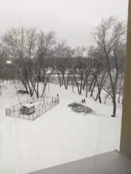 Продается квартира Сумская, Сумы, Заречный, Свободи пр-т, 16 корп.5 фото 1 Продается квартира Сумская, Сумы, Заречный, Свободи пр-т, 16 корп.5 фото 1