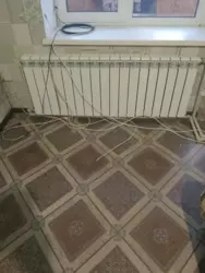 ��������� �������� ���������, ���������, ������� ���� 6