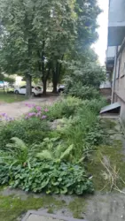 Продается квартира Сумская, Сумы, Магістратська вул. фото 5 Продается квартира Сумская, Сумы, Магістратська вул. фото 5