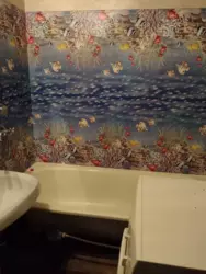 ��������� �������� � ����, ����, �������, �������� ���� 6