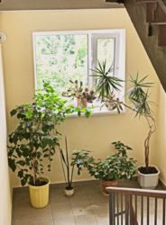 Продается квартира Сумская, Сумы, Пролетарська вул. фото 9 Продается квартира Сумская, Сумы, Пролетарська вул. фото 9