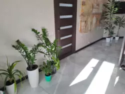 ��������� �������� �����, ����, �������, ������������ ���� 2