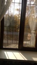 4к Курский мкрн фото 11 4к Курский мкрн фото 11