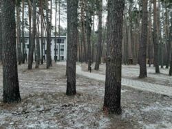   , ,  ,  Forest Apart  7