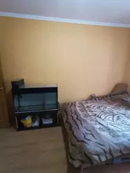 ��������� �������� �������, ����, ��������, ��������� ���� 6