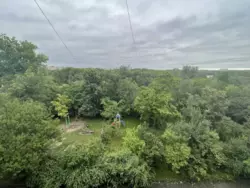   , , , -  ,   , 2/1  4