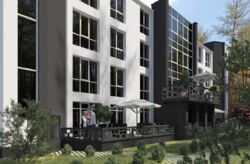   , ,  ,  Forest Apart  1