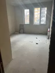   , , ,   Green, 1 .   3