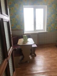 3к Черепіна фото 3 3к Черепіна фото 3