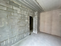 ����������� �������� � �����������, ���� ���������, ��� ��������� 12/1 ���� 13