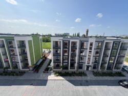 ����������� �������� � �����������, ���� ���������, ��� ��������� 12/1 ���� 10