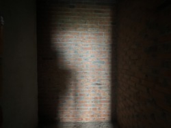  3-     , . , 45-.  16