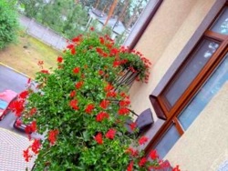 ������ 3� �������� � �� г� ���� � �.���� ���� 12
