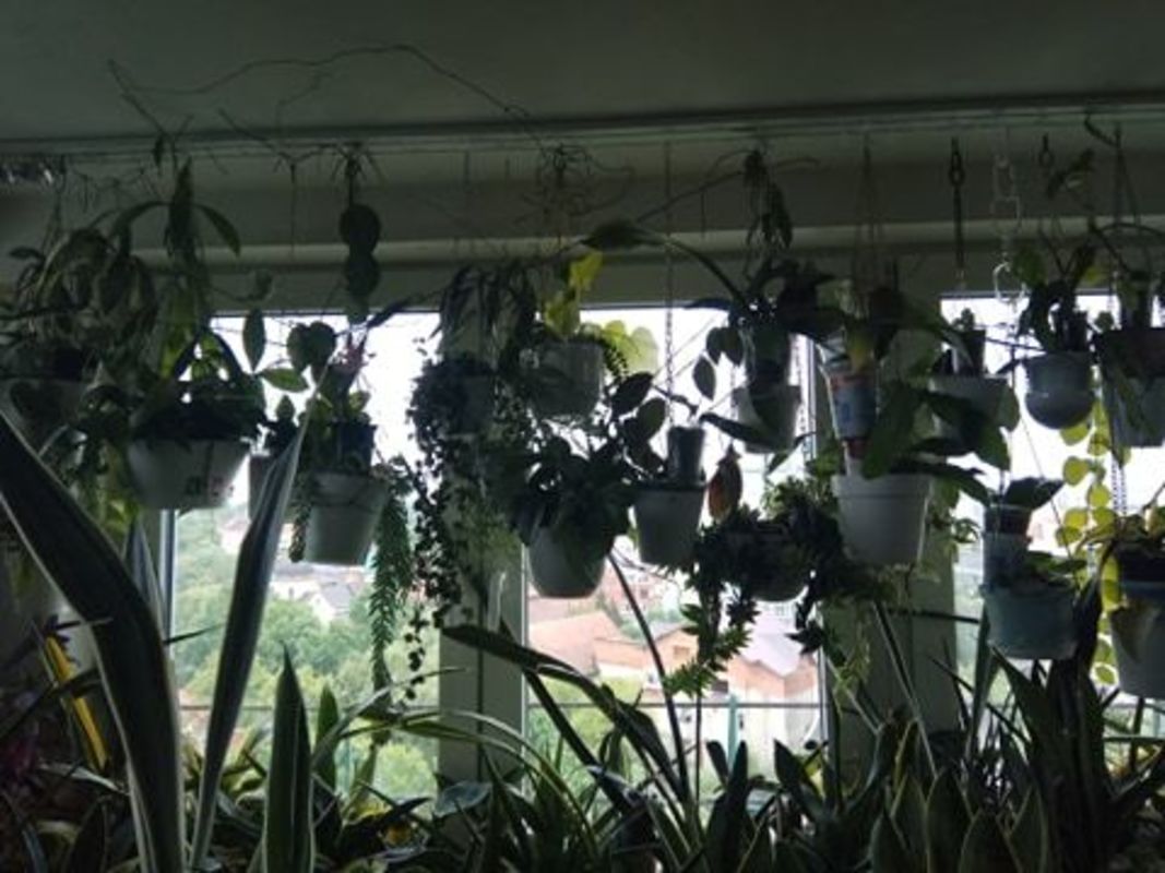 ��������� �������� �����-����������, �����-���������, �������� ���. ���� 1