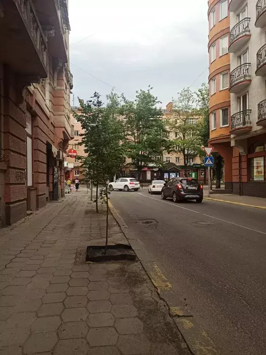 1К Гординського фото 1 1К Гординського фото 1