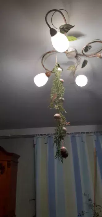 1� ���� 1