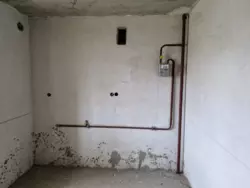 3 � ���� 6