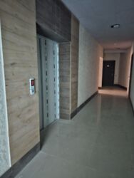 2� ���� 12