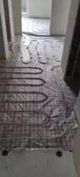 3� ���� 6