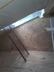 3� ���� 13