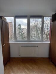 2� ���� 5
