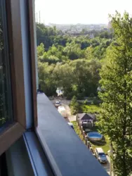 3� ���� 11