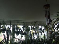 ��������� �������� �����-����������, �����-���������, �������� ���. ���� 11