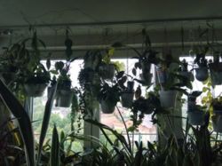 ��������� �������� �����-����������, �����-���������, �������� ���. ���� 1