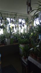 ��������� �������� �����-����������, �����-���������, �������� ���. ���� 12