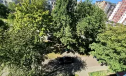 2 кімнатна з ремонтом фото 3 2 кімнатна з ремонтом фото 3
