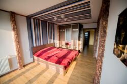 5� ���� 19