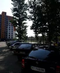 �������� ����������� ���� 6