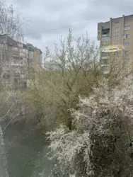������ �������� � ������ ����� ���� ���� 9