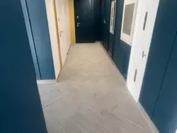 1- ������� �������� ����� ���� 1