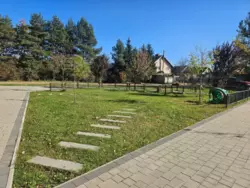 ������������ �������� � �����-���������� �� ������ ³������� ���� 19