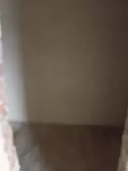 2� ���� 5