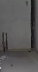 ������ 1 �� �������� �� �������� ���� 3