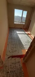 1� ���� 5