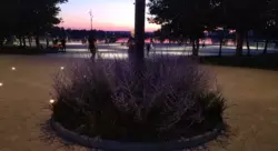 ������ 2� ������� ��� ����� � ������� ������� ���� 2