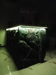 ������ �������� �������� �������� � ������� ���� 1