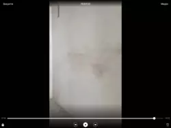 1� ���� 1