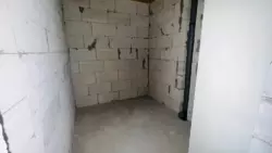 3� ���� 5