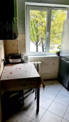 3� ���� 6