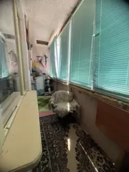 1� ���� 5