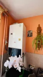 2� ���� 5