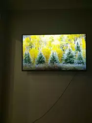 2� ����� ���� 8