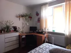 1� ���� 6