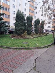 2к + мансарда 50м2 фото 6 2к + мансарда 50м2 фото 6