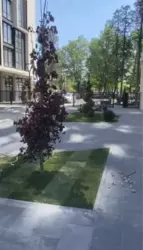 4� ���� 3